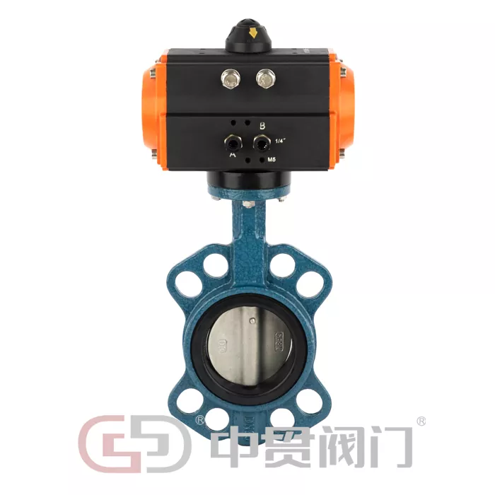 Apa Pneumatic Actuated Butterfly Valve?
