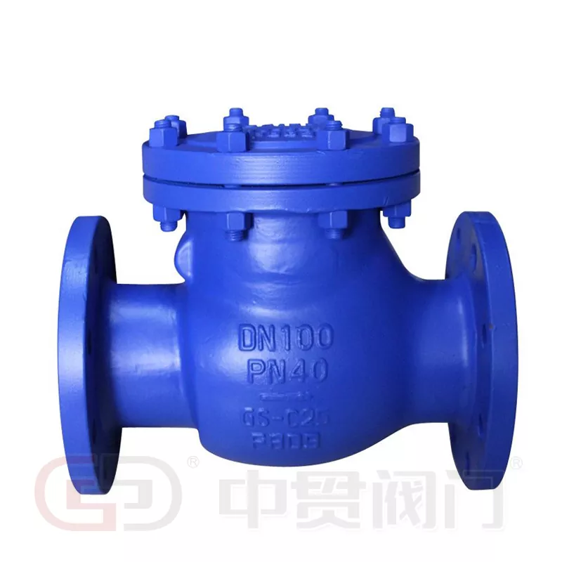Din Swing Type Valve